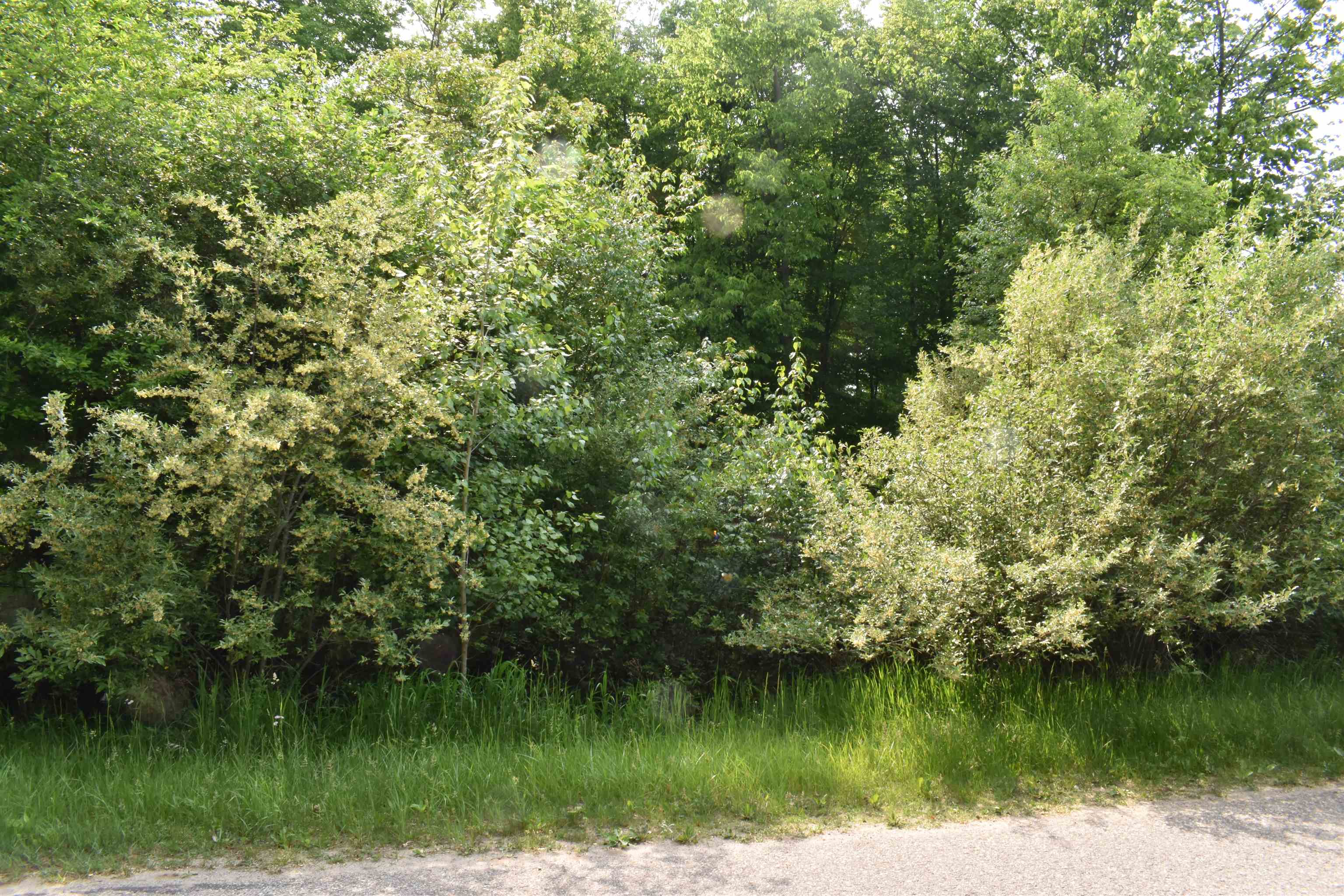 Lot 271 Islanders Way
