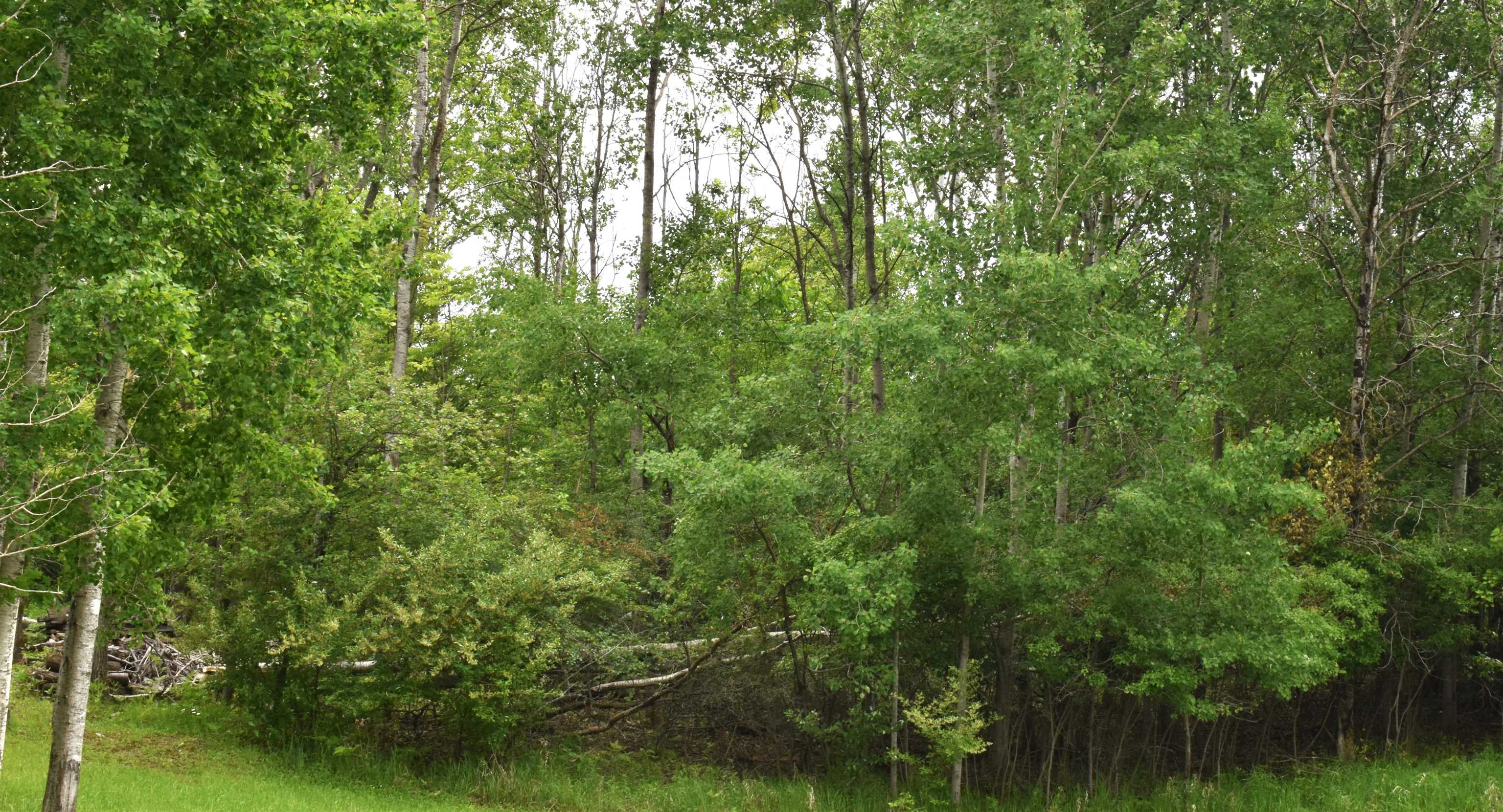 Lot 271 Islanders Way