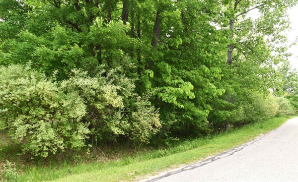 LOT 271 ISLANDERS WAY, GLADWIN, MI 48624 - Image ea3053fbd635dd2a93c3549b72e97a4e/891426737