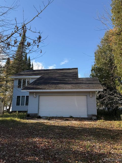 24150 Bay View Drive McMillan MI 49853