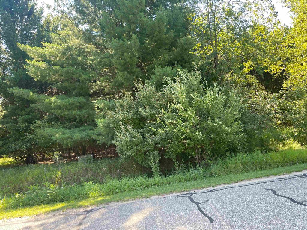 Photo of 97 SALISBURY Drive, Gladwin, MI 48624 (MLS # 50183272)