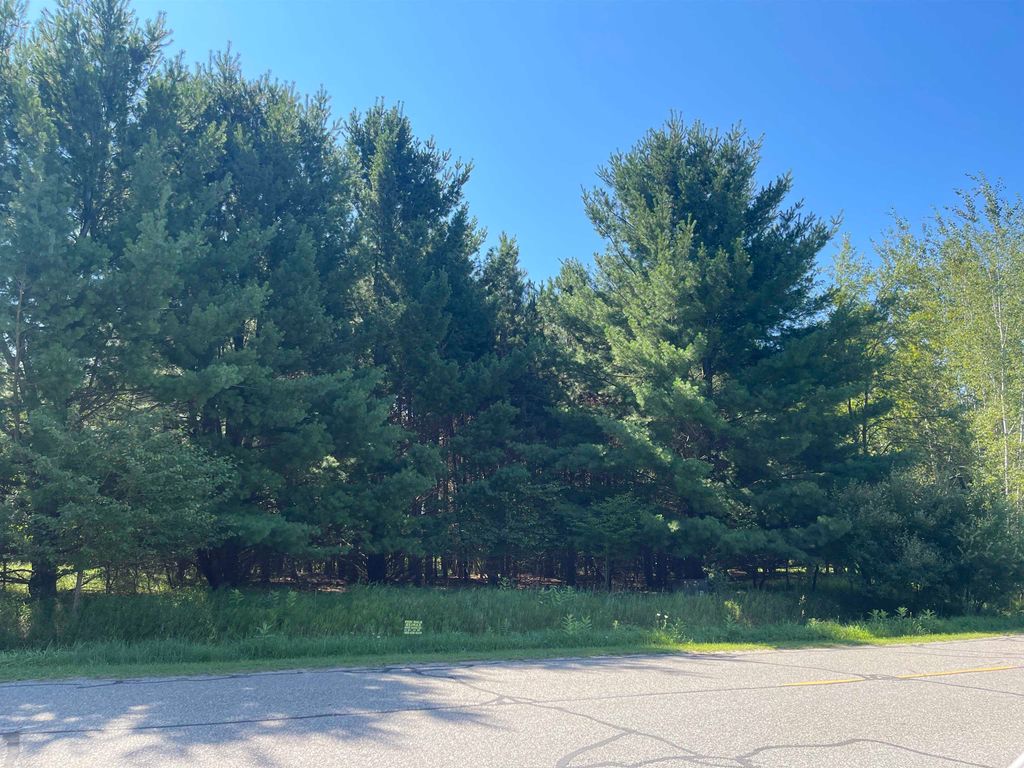 Photo of 97 SALISBURY Drive, Gladwin, MI 48624 (MLS # 50183272)
