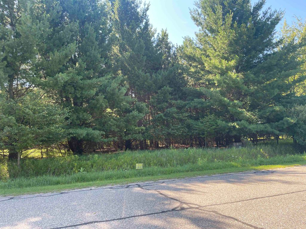 Photo of 97 SALISBURY Drive, Gladwin, MI 48624 (MLS # 50183272)