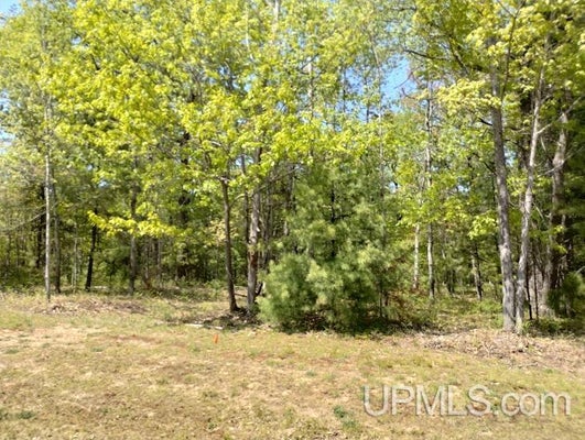 10471 BREEZY R.2 LANE, RAPID RIVER, MI 49878 - Image ecc21ffe88befbdf2084033a6da8f071/3420822263
