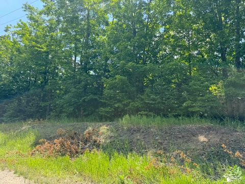 000 Hayes Tower Road Gaylord MI 49735