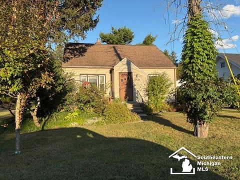 10524 Brunt Street Samaria MI 48177