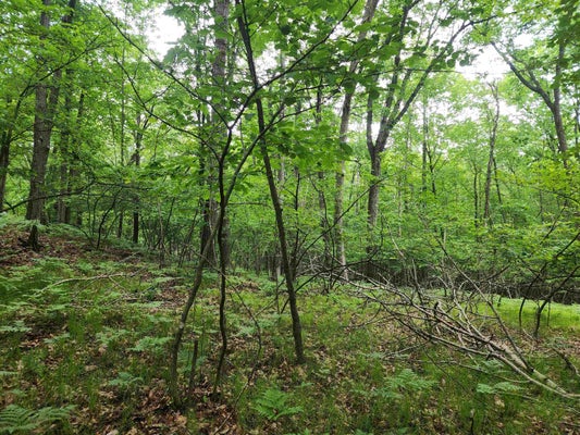 826 HEMLOCK ST, CLARE, MI 48617 - Image ee2c36d378e4e003b6b491fc09fb2e5d/1025134377