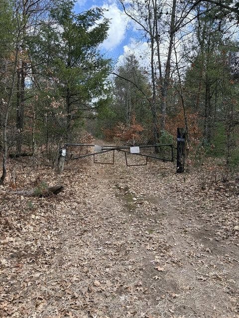 Photo of 0 E Skeels Road, Holton, MI 49425 (MLS # 70523465)