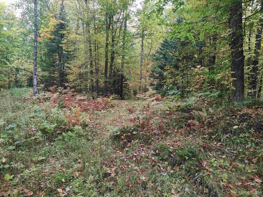 S LAIRD RD, PELKIE, MI 49958 - Image f0dcadbddfa1cfb6ae7553ddd8a108e0/2913104251