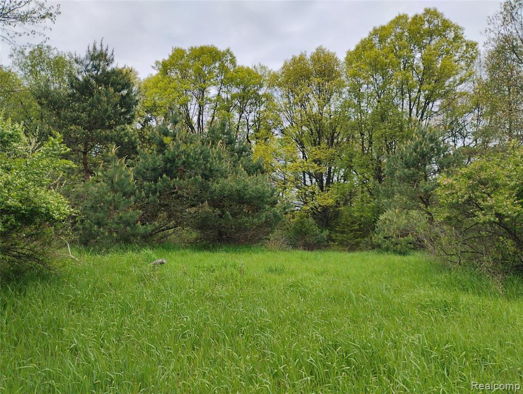 000 Middle Parc Middle Road