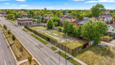 Photo of 13145 Livernois Avenue, Detroit, MI 48238 (MLS # 60939180)