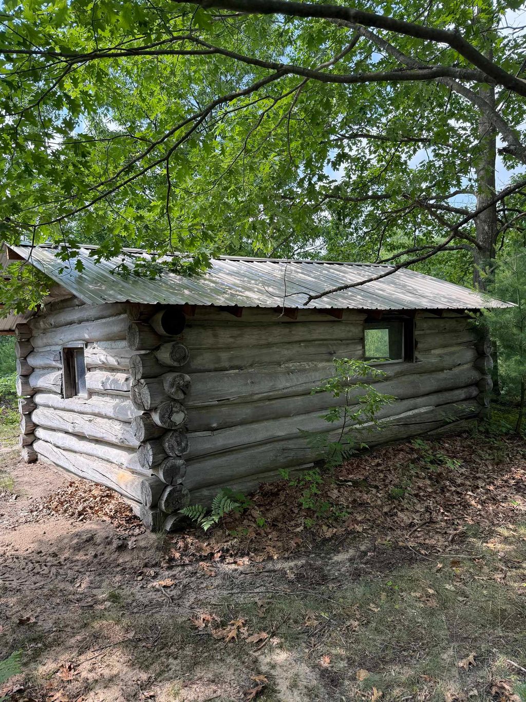 Photo of 6111 E Howard Road, Beaverton, MI 48612 (MLS # 50188918)