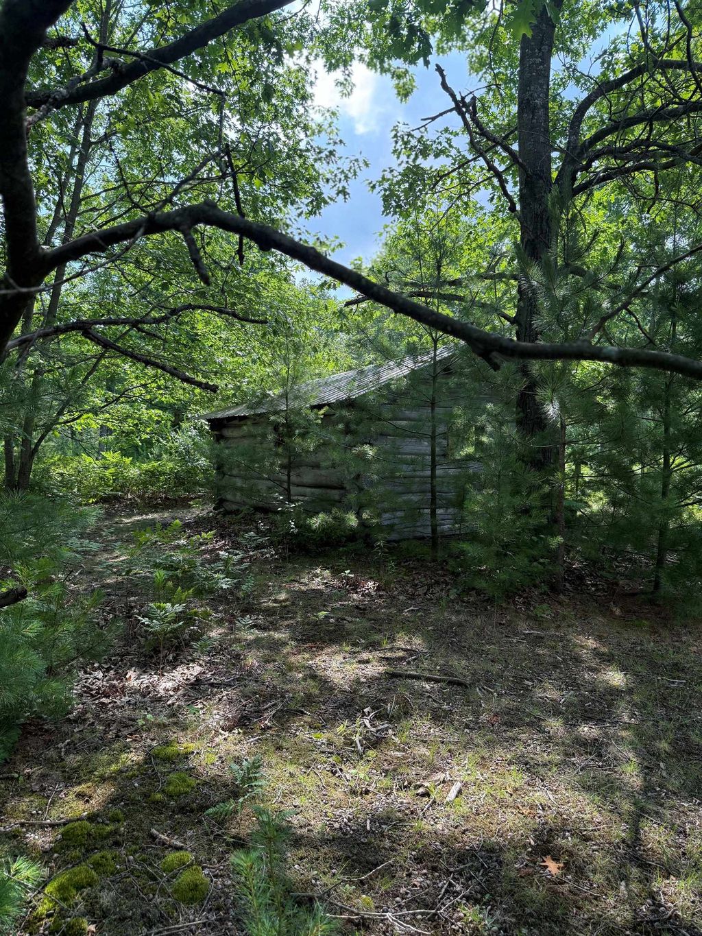 Photo of 6111 E Howard Road, Beaverton, MI 48612 (MLS # 50188918)