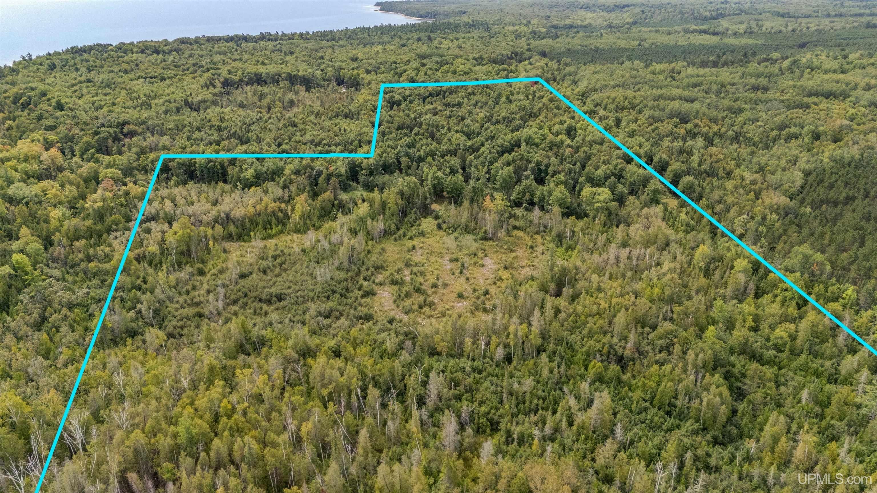 TBD Gierke Road