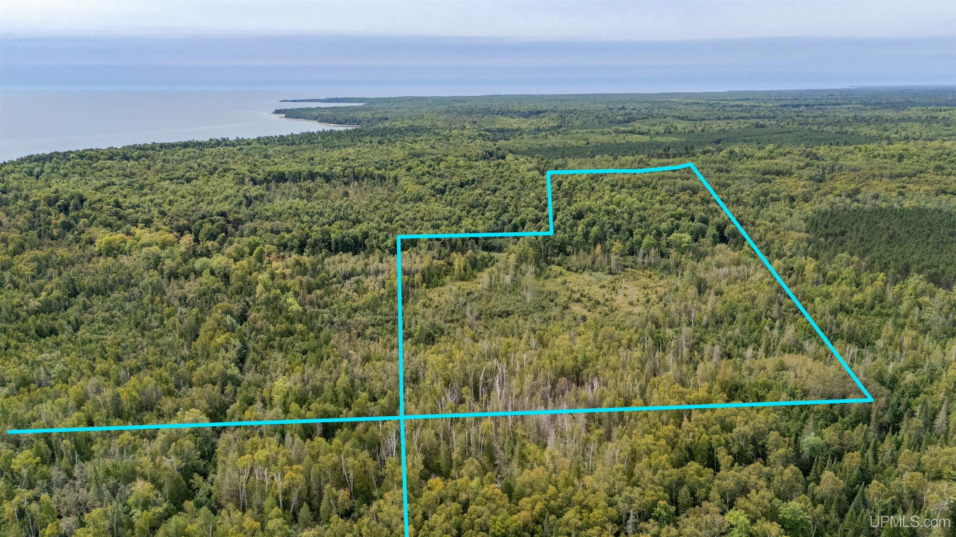 TBD Gierke Road
