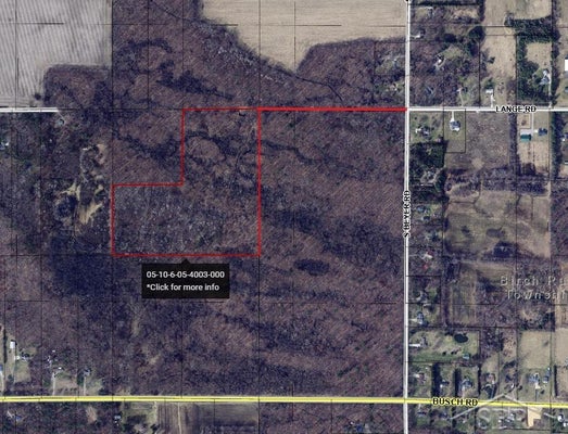 LANGE RD, BRIDGEPORT, MI 48722 - Image f6fa29a2b9e94a5cd348b8ce14d764ec/2420388788