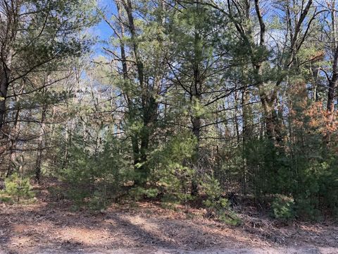 Photo of S Atwater, White Cloud, MI 49349 (MLS # 70523094)