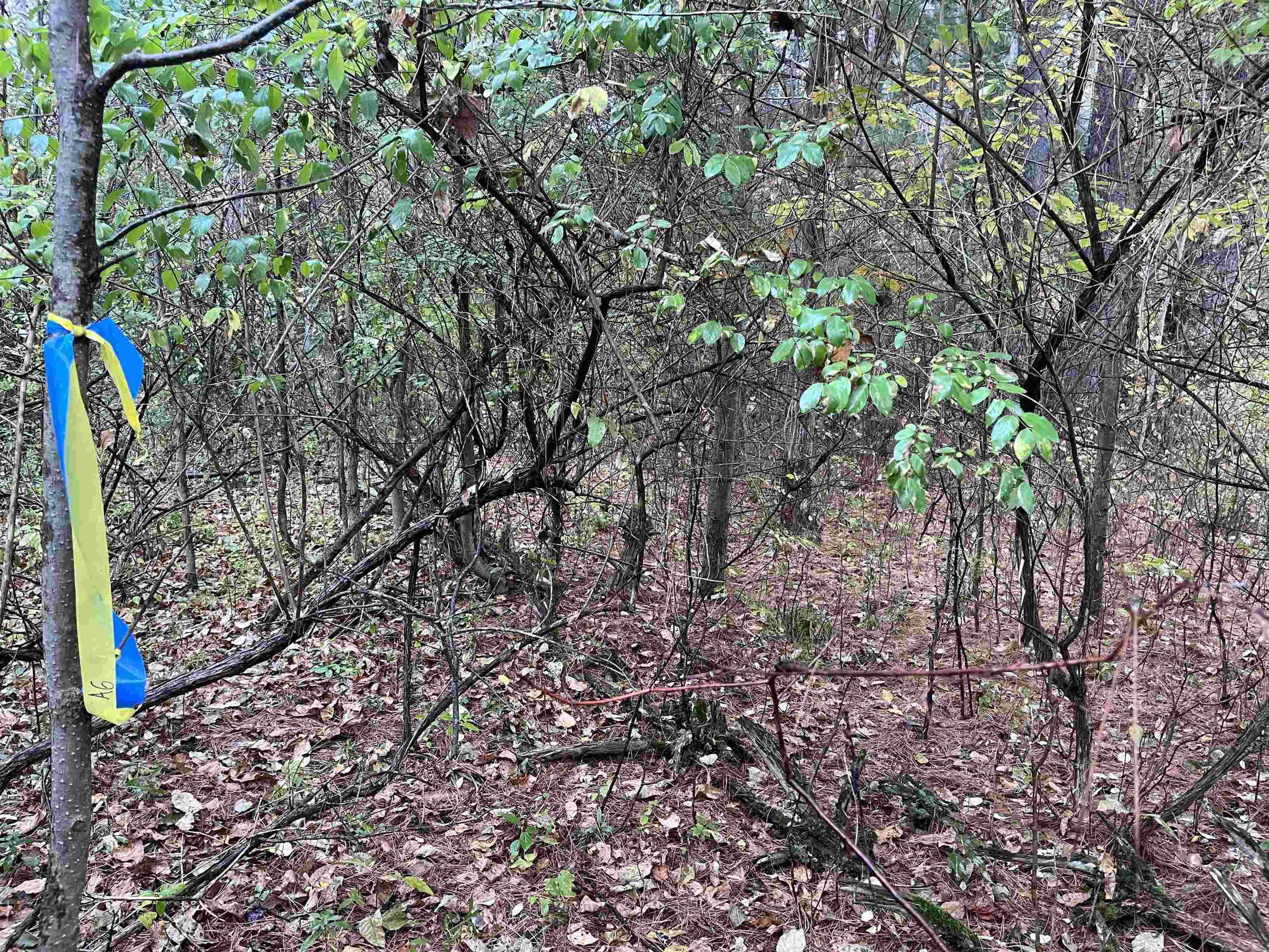 35 Wilber Road