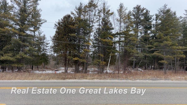 E M55, HALE, MI 48739 - Image f9178cd0b24a3bde38c0e804543ecd96/2390955308