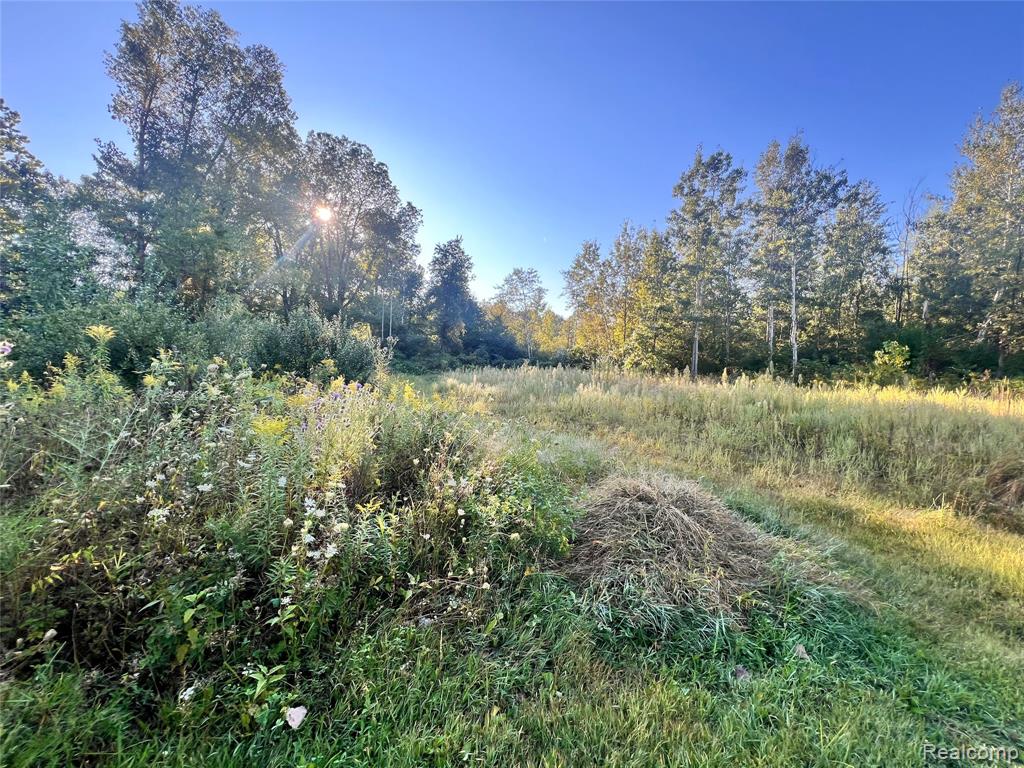 8085 W Newburg Road