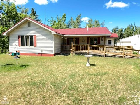 Photo of 6800 Birch Valley Trail, Vanderbilt, MI 49795 (MLS # 50213081)