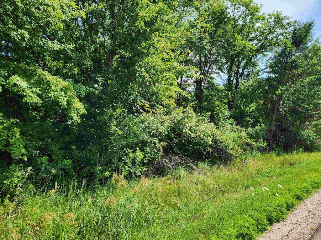 Photo of 10 Beaverton Road, Beaverton, MI 48612 (MLS # 50183474)