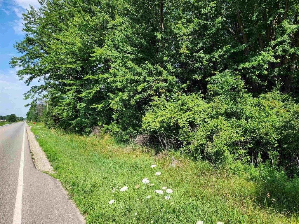 Photo of 10 Beaverton Road, Beaverton, MI 48612 (MLS # 50183474)