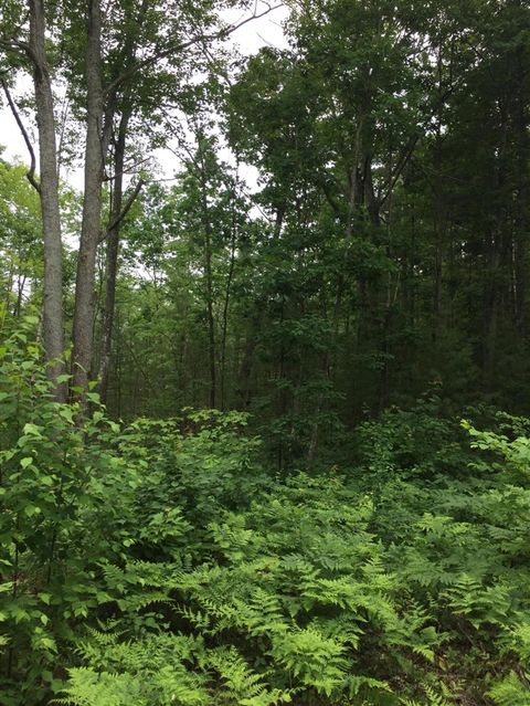 Parcel K Dodge Lake Road Gaylord MI 49735