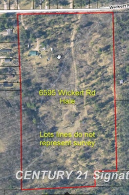 6595 WICKERT RD, HALE, MI 48739 - Image fcf1bdb8be73ca9f18006a8f6f976fa6/1067862764