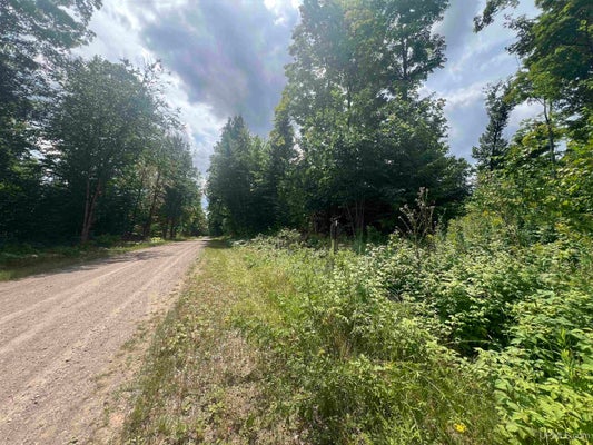 TBD LITTLE BEAR ROAD, IRON RIVER, MI 49935 - Image fd5df7e9b8a08efd159a70165934b2c9/2857723417