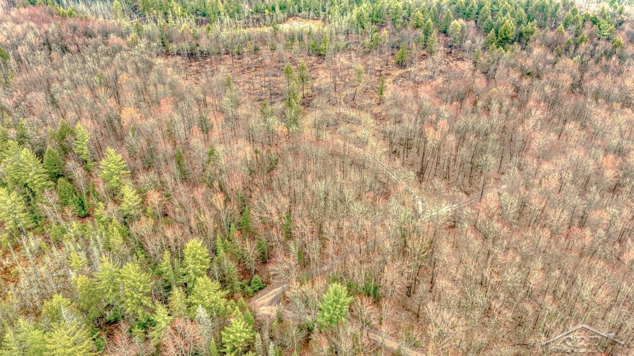 Wetmore, Michigan 49895, United States, ,Land,Active,253704