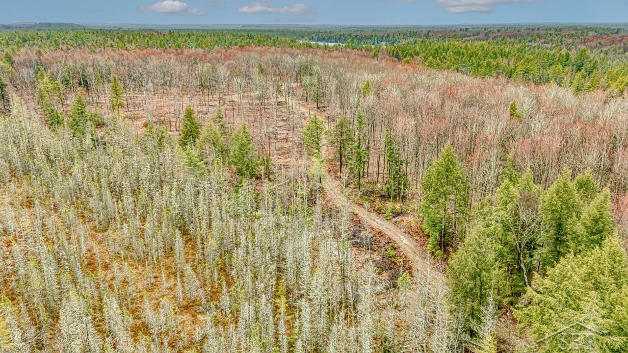 Wetmore, Michigan 49895, United States, ,Land,Active,253704