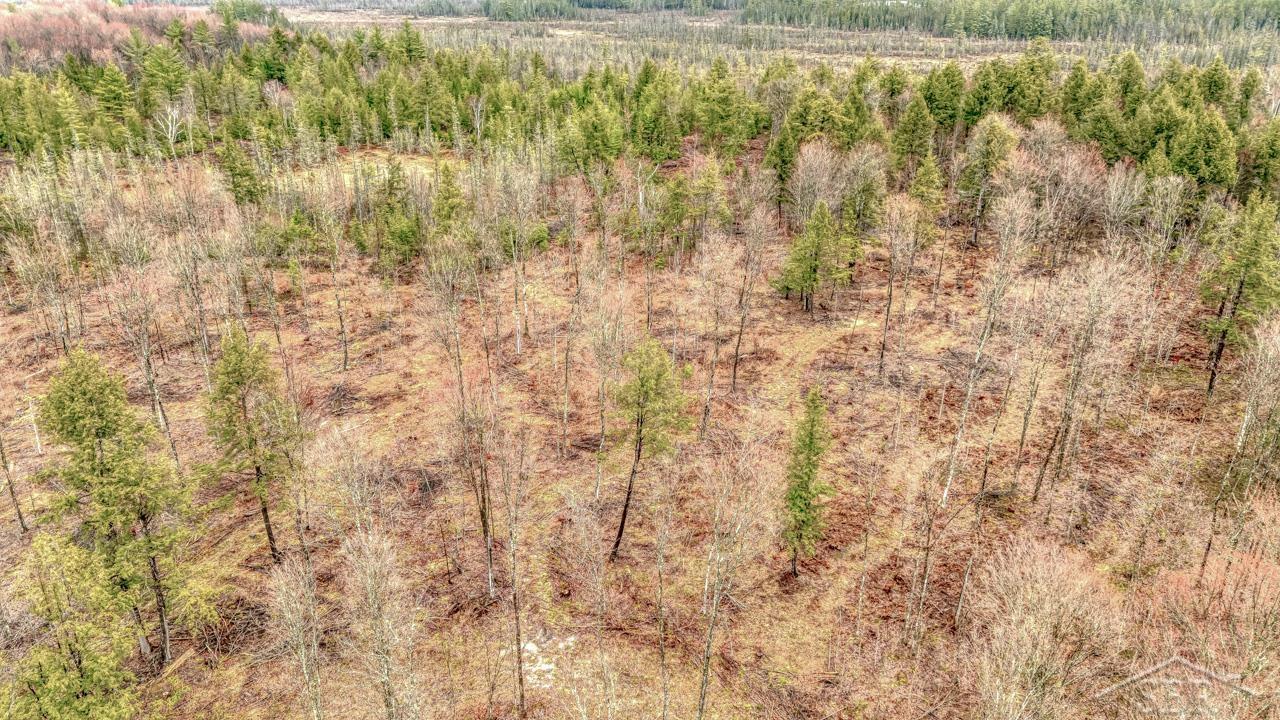 Wetmore, Michigan 49895, United States, ,Land,Active,253704