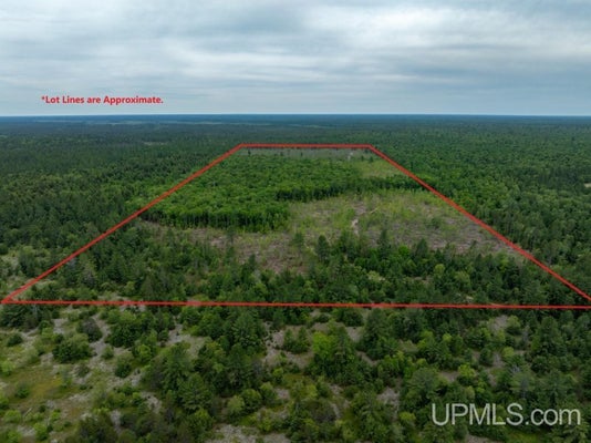 TBD OFF CO RD 450 ROAD, SENEY, MI 49883 - Image fef2d4a0551688e0455ef30dedfee45e/3434376990