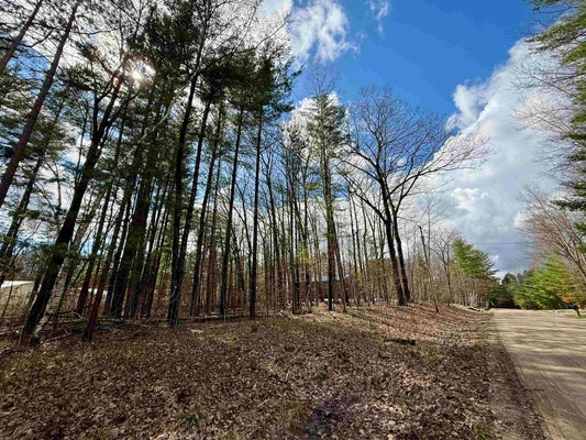 WILDWOOD DR, GLADWIN, MI 48624 - Image ff7c4e251fdb1512cdb8fbca9c6899fd/3921397941