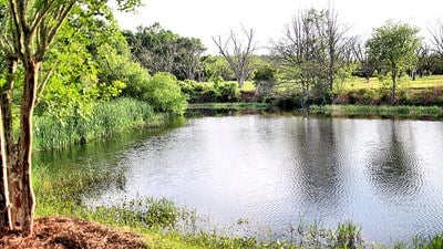 4701 Knights Ferry