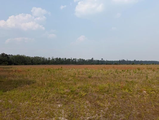 MOORE RD, NAYLOR, GA 31641 - Image 4db8d85bd22b1fb89a1a71ebefc4987d/915589695