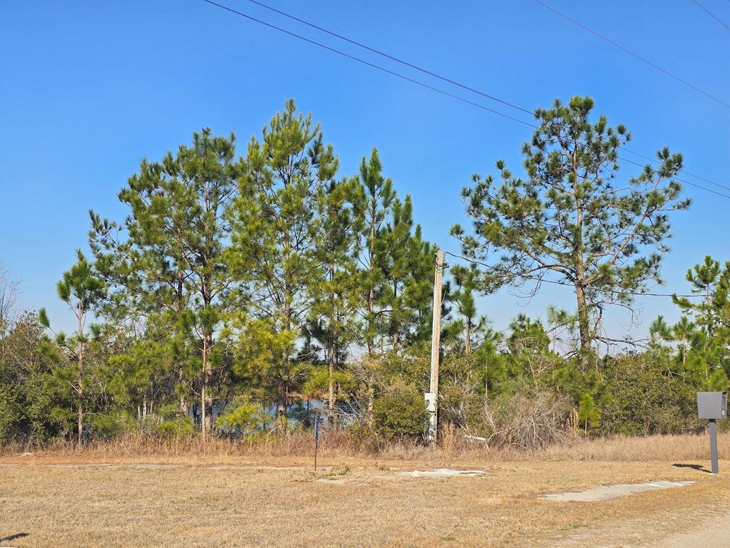 0 Old Clyattville Rd