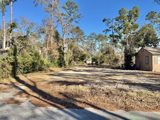 1303 JO REE ST, VALDOSTA, GA 31601 - Image 8c5645aa03b50dc598c4fce46bdfa596/2476500063