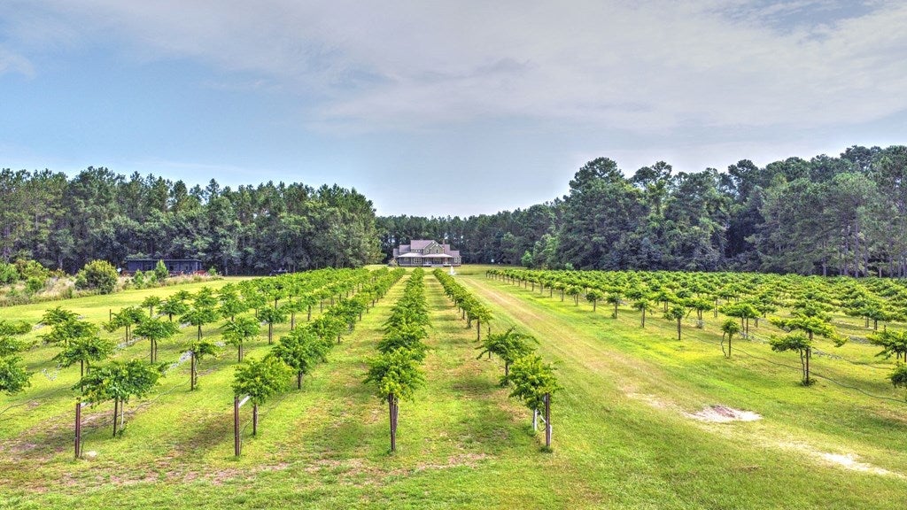 311 Grapevine Rd