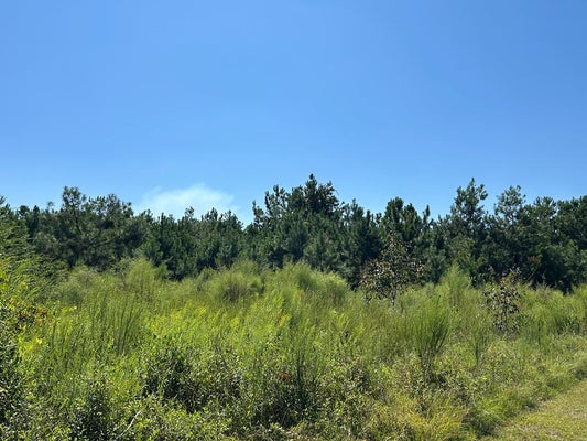 BUTLER LN, VALDOSTA, GA 31606 - Image cb7c6b050d34be653bf32b9e381cdbec/4228587568