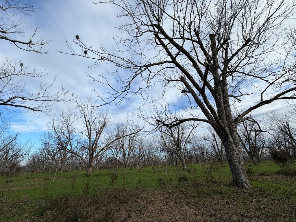 996 Hwy 135