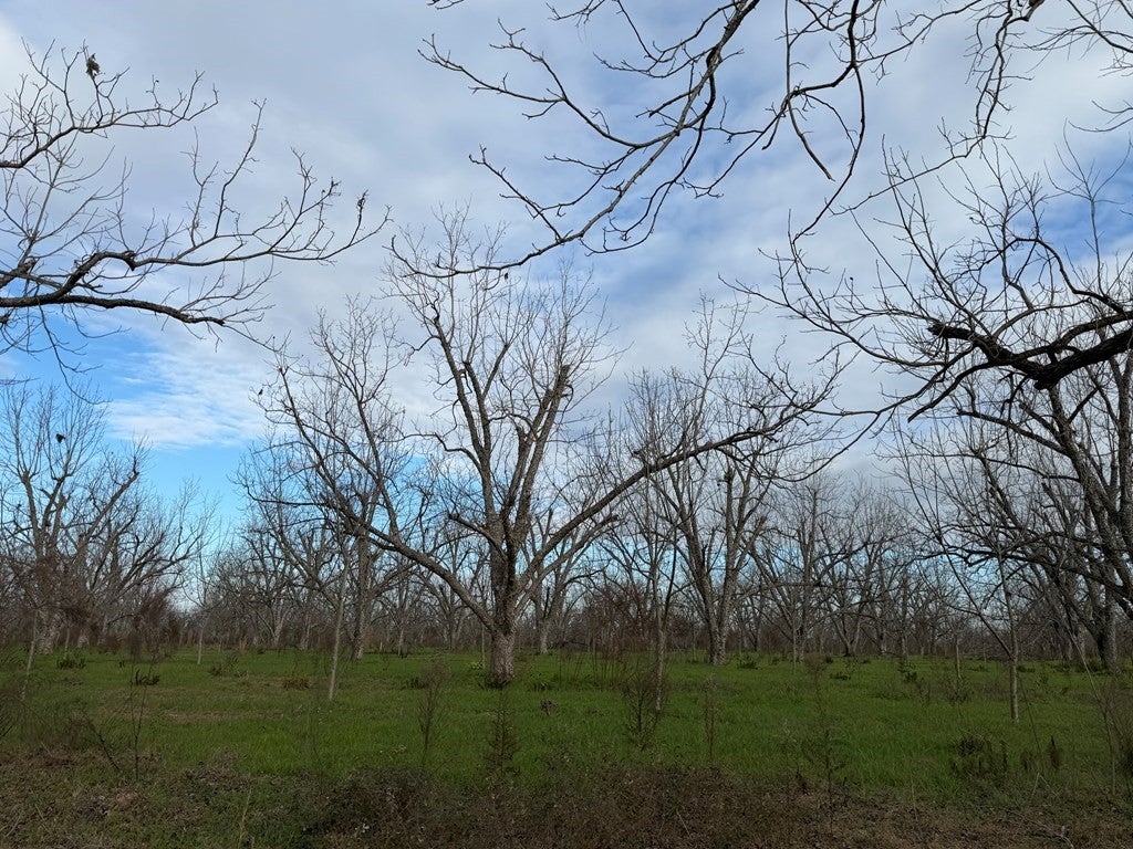 996 Hwy 135