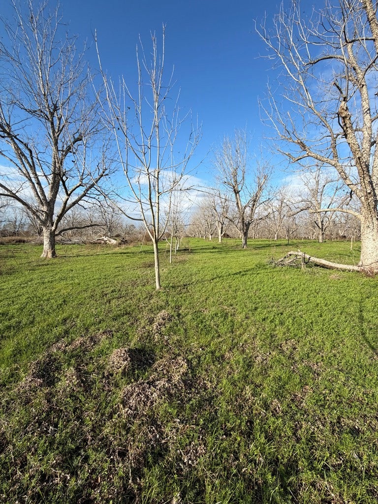 996 Hwy 135