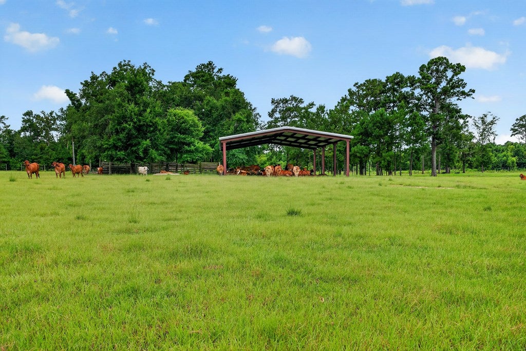 4497 Howard Road
