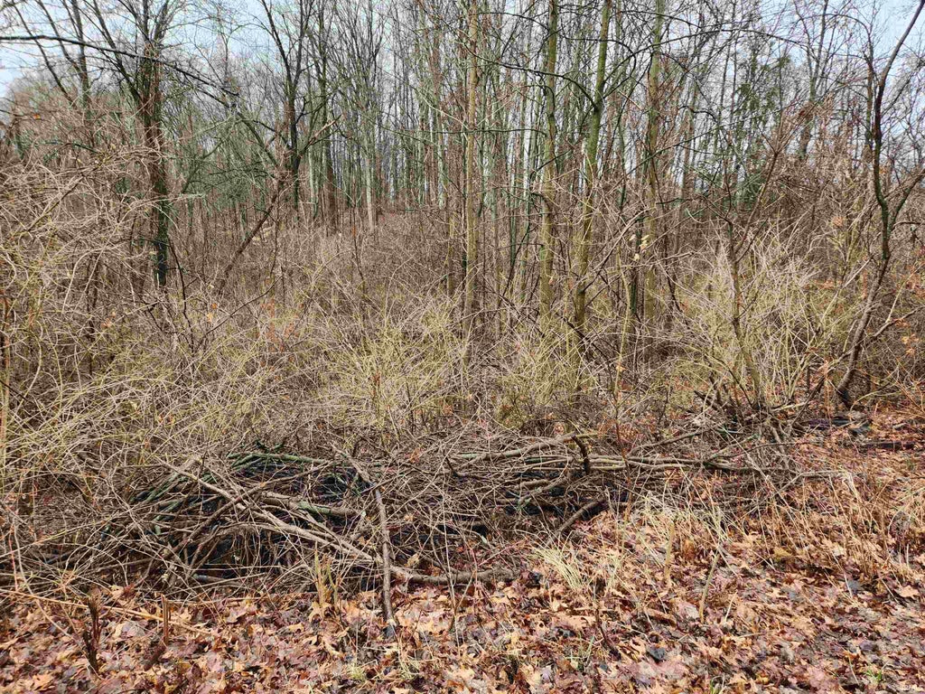 Photo of TBD E KOHER RD #9 ST, Syracuse, IN 46567 (MLS # 202623457)