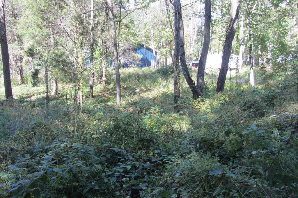 Photo of 000 Lane 370A Jimmerson Lk, Fremont, IN 46737 (MLS # 202541155)