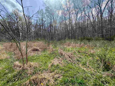 Tiny photo for off Co Rd 660 S / 675 E, Hardinsburg, IN 47125 (MLS # 202613047)