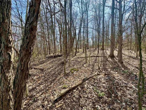 Tiny photo for off Co Rd 660 S / 675 E, Hardinsburg, IN 47125 (MLS # 202613047)