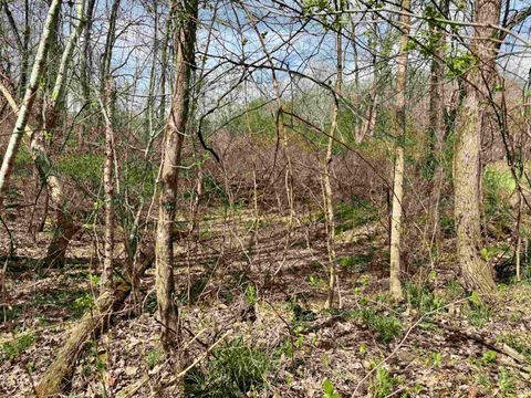 Tiny photo for off Co Rd 660 S / 675 E, Hardinsburg, IN 47125 (MLS # 202613047)